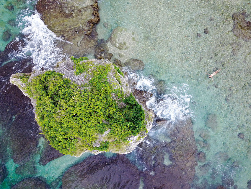 冬天也能玩海島 現在就來屏東小琉球潛水賞海龜