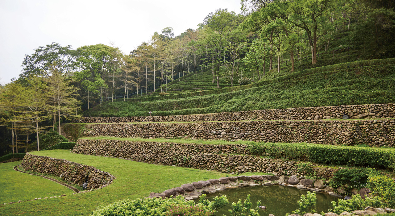 桐花步道、百年梯田、螢火蟲祕境，新竹鹿寮坑期間限定的風景，最適合