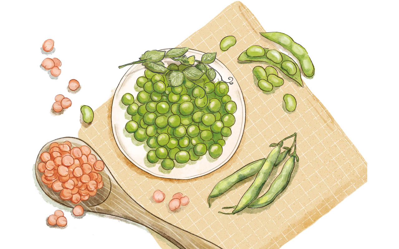 豆の100種類の食べ方